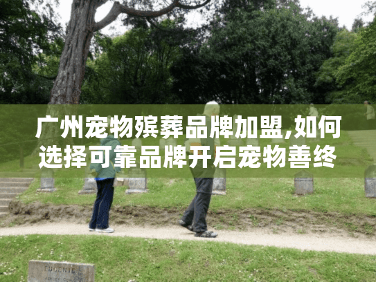 广州宠物殡葬品牌加盟,如何选择可靠品牌开启宠物善终事业? 广州宠物殡葬品牌加盟,如何选择可靠品牌开启宠物善终事业?