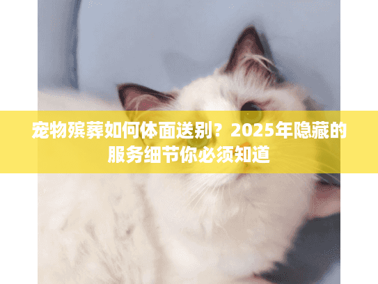 宠物殡葬如何体面送别?2025年隐藏的服务细节你必须知道 宠物殡葬如何体面送别?2025年隐藏的服务细节你必须知道