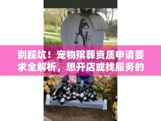 别踩坑！宠物殡葬资质申请要求全解析，想开店或找服务的都要看这几点