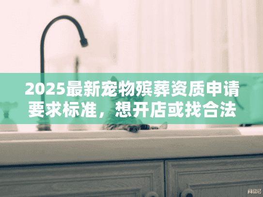 2025最新宠物殡葬资质申请要求标准,想开店或找合法服务,这篇一定要看! 2025最新宠物殡葬资质申请要求标准,想开店或找合法服务,这篇一定要看!