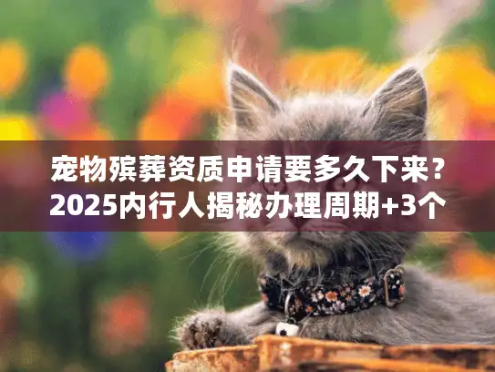 宠物殡葬资质申请要多久下来？2025内行人揭秘办理周期+3个少走弯路的核心技巧