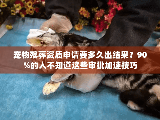 宠物殡葬资质申请要多久出结果？90%的人不知道这些审批加速技巧