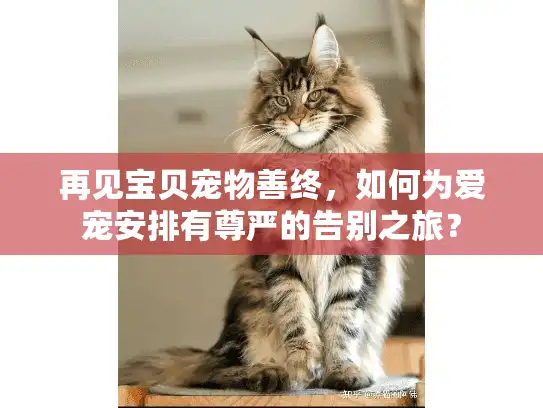 再见宝贝宠物善终,如何为爱宠安排有尊严的告别之旅? 再见宝贝宠物善终,如何为爱宠安排有尊严的告别之旅?