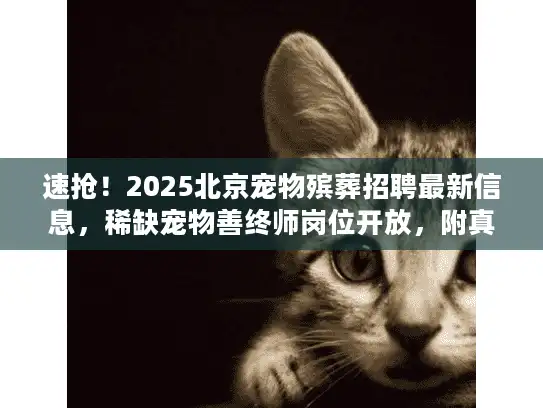 速抢！2025北京宠物殡葬招聘最新信息，稀缺宠物善终师岗位开放，附真实机构招工案例