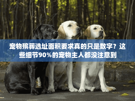 宠物殡葬选址面积要求真的只是数字?这些细节90%的宠物主人都没注意到 宠物殡葬选址面积要求真的只是数字?这些细节90%的宠物主人都没注意到