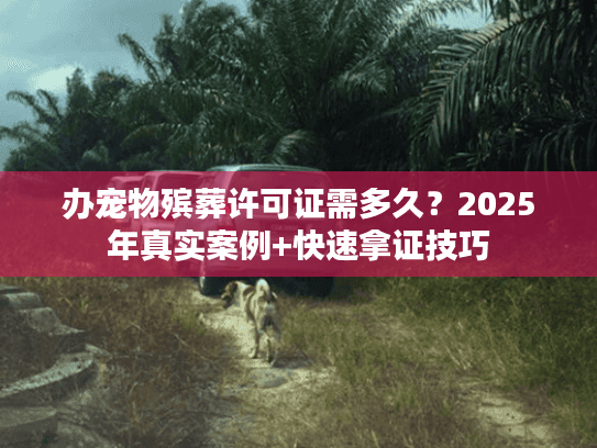办宠物殡葬许可证需多久？2025年真实案例+快速拿证技巧