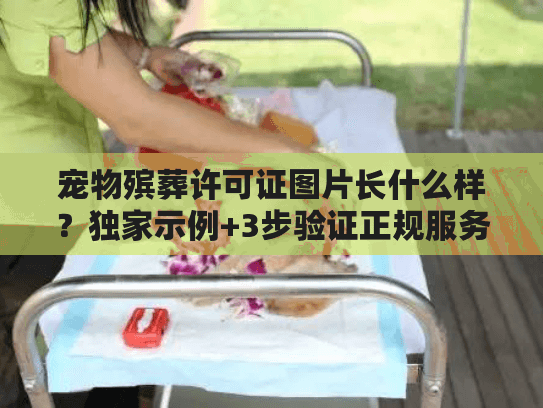 宠物殡葬许可证图片长什么样？独家示例+3步验证正规服务