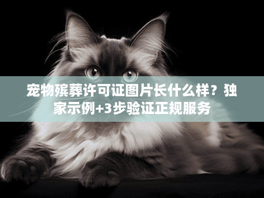 宠物殡葬许可证图片长什么样？独家示例+3步验证正规服务