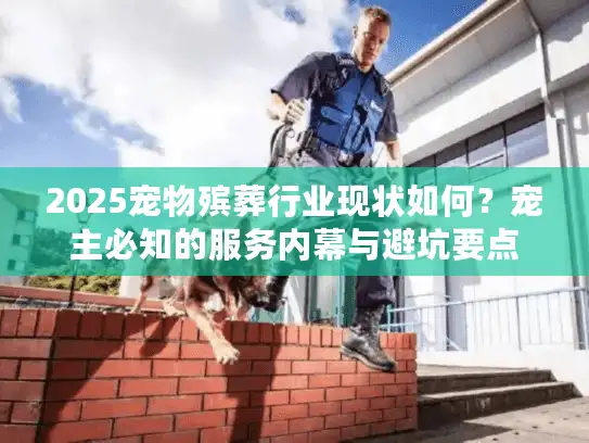 2025宠物殡葬行业现状如何？宠主必知的服务内幕与避坑要点