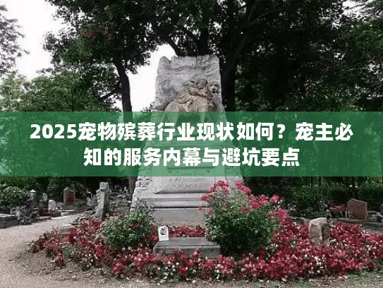2025宠物殡葬行业现状如何？宠主必知的服务内幕与避坑要点
