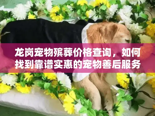龙岗宠物殡葬价格查询，如何找到靠谱实惠的宠物善后服务？