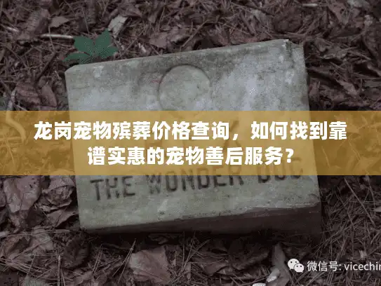 龙岗宠物殡葬价格查询，如何找到靠谱实惠的宠物善后服务？