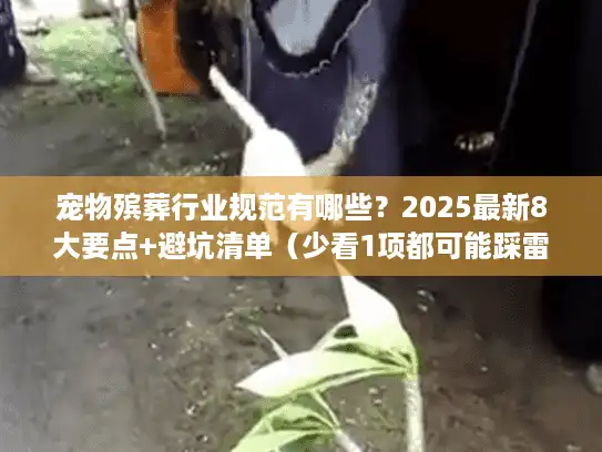 宠物殡葬行业规范有哪些？2025最新8大要点+避坑清单（少看1项都可能踩雷）