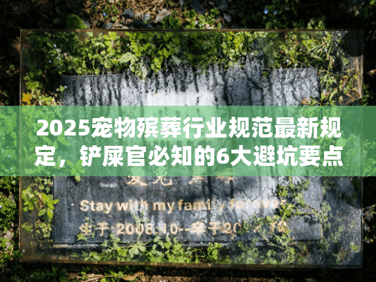 2025宠物殡葬行业规范最新规定，铲屎官必知的6大避坑要点？