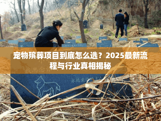 宠物殡葬项目到底怎么选?2025最新流程与行业真相揭秘 宠物殡葬项目到底怎么选?2025最新流程与行业真相揭秘