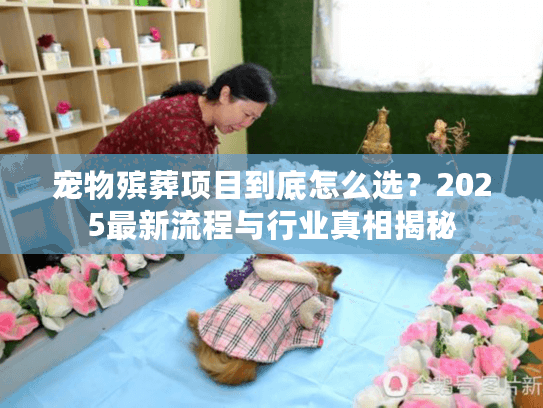 宠物殡葬项目到底怎么选?2025最新流程与行业真相揭秘 宠物殡葬项目到底怎么选?2025最新流程与行业真相揭秘