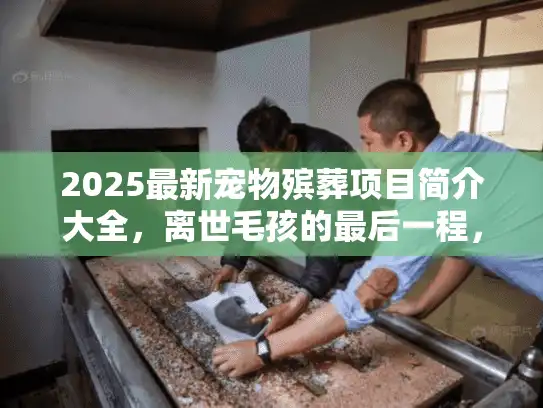 2025最新宠物殡葬项目简介大全，离世毛孩的最后一程，你选对服务了吗？