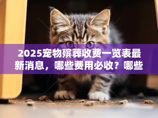 2025宠物殡葬收费一览表最新消息，哪些费用必收？哪些是套路？
