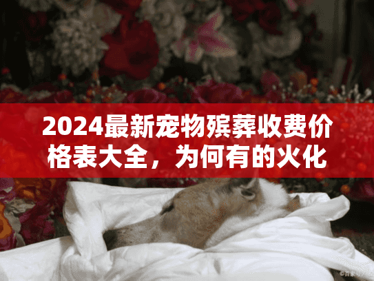2024最新宠物殡葬收费价格表大全，为何有的火化仅300元，有的却要3000？