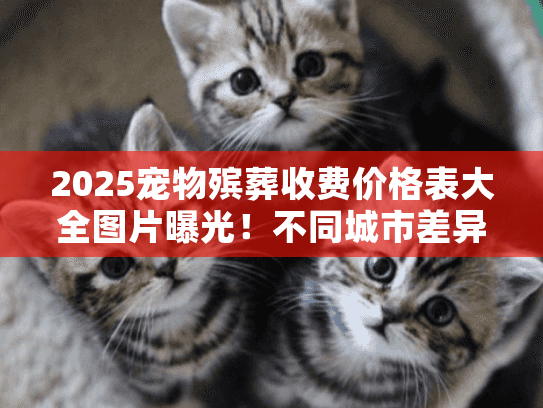 2025宠物殡葬收费价格表大全图片曝光!不同城市差异+隐藏费用揭秘 2025宠物殡葬收费价格表大全图片曝光!不同城市差异+隐藏费用揭秘