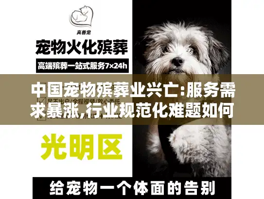 中国宠物殡葬业兴亡:服务需求暴涨,行业规范化难题如何破局?