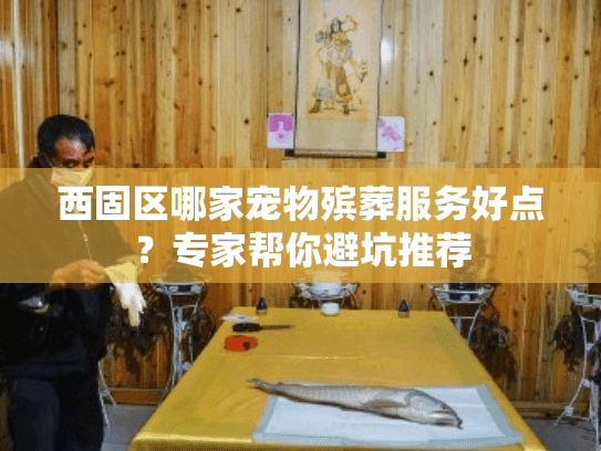 西固区哪家宠物殡葬服务好点？专家帮你避坑推荐