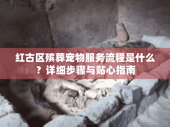 红古区殡葬宠物服务流程是什么?详细步骤与贴心指南 红古区殡葬宠物服务流程是什么?详细步骤与贴心指南