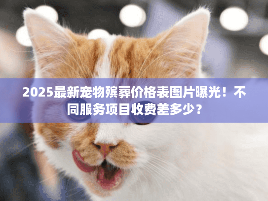 2025最新宠物殡葬价格表图片曝光！不同服务项目收费差多少？