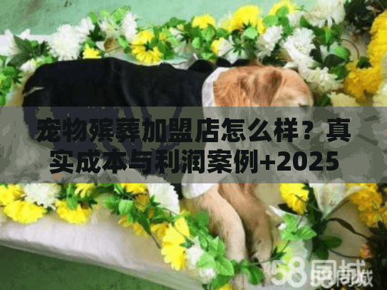 宠物殡葬加盟店怎么样？真实成本与利润案例+2025最新加盟费用揭秘