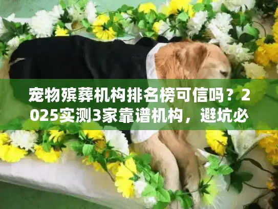 宠物殡葬机构排名榜可信吗？2025实测3家靠谱机构，避坑必看！