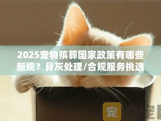 2025宠物殡葬国家政策有哪些新规？骨灰处理/合规服务挑选指南