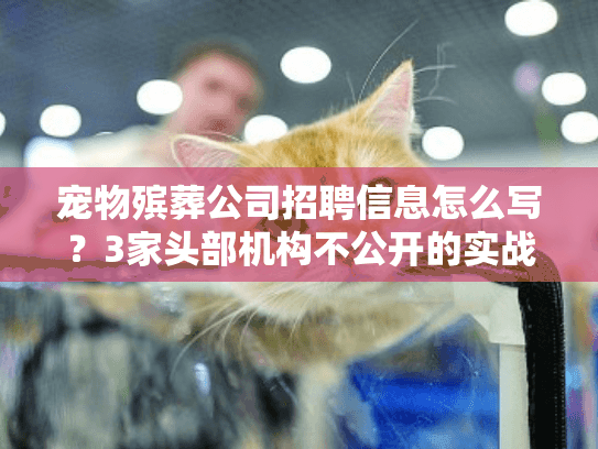 宠物殡葬公司招聘信息怎么写?3家头部机构不公开的实战范文+关键技巧 宠物殡葬公司招聘信息怎么写?3家头部机构不公开的实战范文+关键技巧