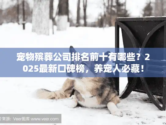 宠物殡葬公司排名前十有哪些？2025最新口碑榜，养宠人必藏！