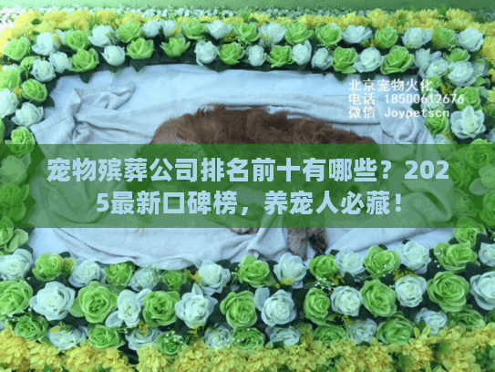宠物殡葬公司排名前十有哪些？2025最新口碑榜，养宠人必藏！