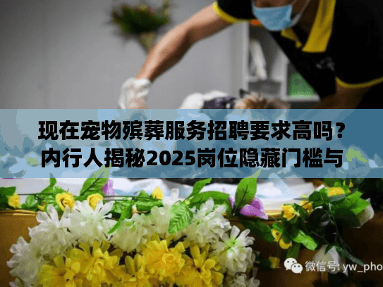 现在宠物殡葬服务招聘要求高吗?内行人揭秘2025岗位隐藏门槛与稀缺技能 现在宠物殡葬服务招聘要求高吗?内行人揭秘2025岗位隐藏门槛与稀缺技能