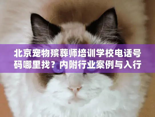 北京宠物殡葬师培训学校电话号码哪里找？内附行业案例与入行秘籍