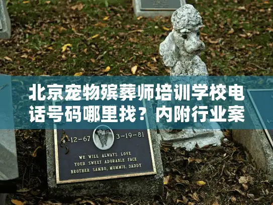北京宠物殡葬师培训学校电话号码哪里找？内附行业案例与入行秘籍