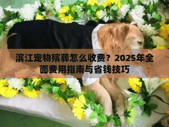 滨江宠物殡葬怎么收费？2025年全面费用指南与省钱技巧
