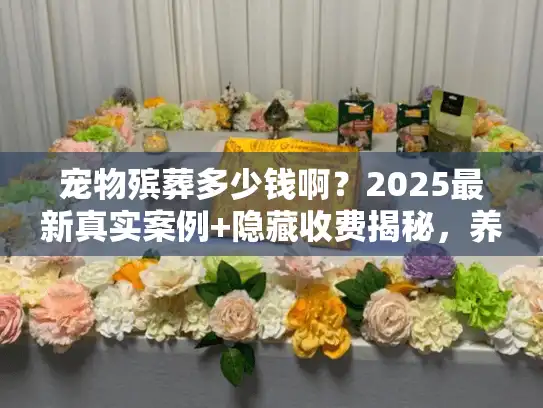 宠物殡葬多少钱啊？2025最新真实案例+隐藏收费揭秘，养宠人必看！