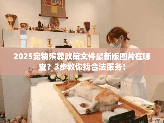 2025宠物殡葬政策文件最新版图片在哪查？3步教你找合法服务！