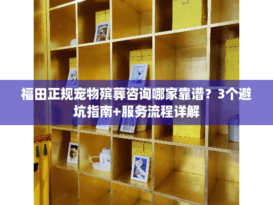 福田正规宠物殡葬咨询哪家靠谱?3个避坑指南+服务流程详解 福田正规宠物殡葬咨询哪家靠谱?3个避坑指南+服务流程详解