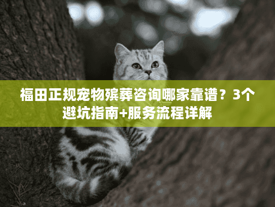 福田正规宠物殡葬咨询哪家靠谱?3个避坑指南+服务流程详解 福田正规宠物殡葬咨询哪家靠谱?3个避坑指南+服务流程详解