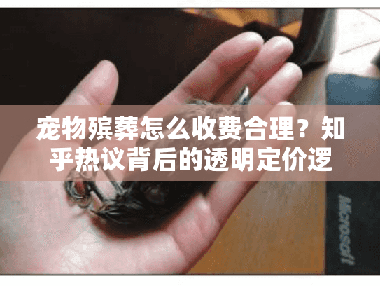 宠物殡葬怎么收费合理？知乎热议背后的透明定价逻辑（真实案例拆解）