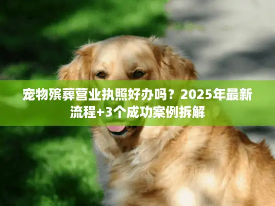 宠物殡葬营业执照好办吗?2025年最新流程+3个成功案例拆解 宠物殡葬营业执照好办吗?2025年最新流程+3个成功案例拆解