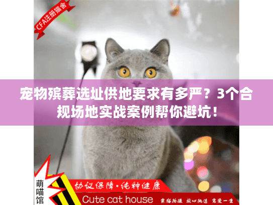 宠物殡葬选址供地要求有多严?3个合规场地实战案例帮你避坑! 宠物殡葬选址供地要求有多严?3个合规场地实战案例帮你避坑!