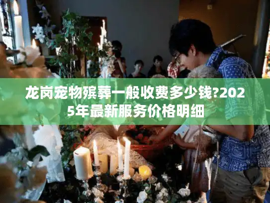 龙岗宠物殡葬一般收费多少钱?2025年最新服务价格明细