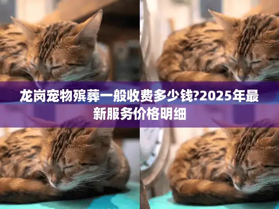 龙岗宠物殡葬一般收费多少钱?2025年最新服务价格明细