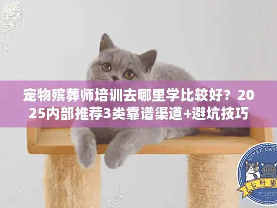 宠物殡葬师培训去哪里学比较好?2025内部推荐3类靠谱渠道+避坑技巧 宠物殡葬师培训去哪里学比较好?2025内部推荐3类靠谱渠道+避坑技巧