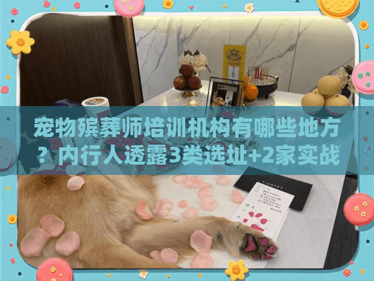 宠物殡葬师培训机构有哪些地方？内行人透露3类选址+2家实战派机构