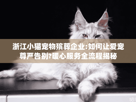 浙江小猫宠物殡葬企业:如何让爱宠尊严告别?暖心服务全流程揭秘